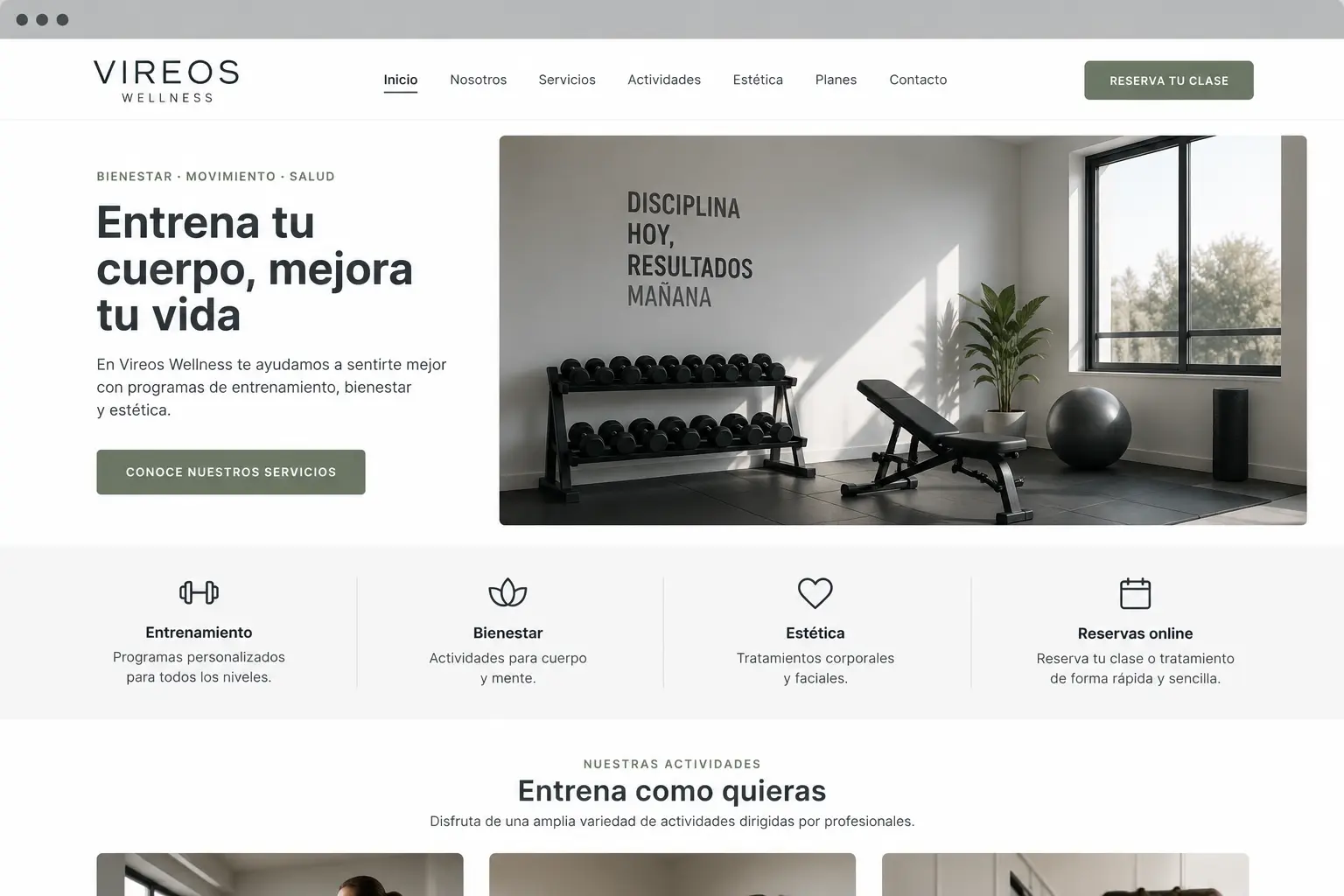 Versión convencional de la web de Vireos Wellness